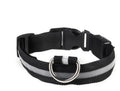 Rechargeable LED Collar
